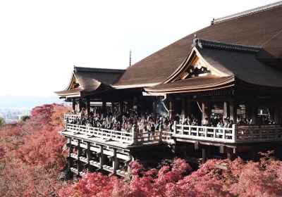 6-Day Japan Cultural Tour 2