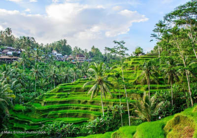 All-Inclusive Ubud Private Tour 2