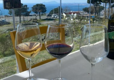 Pompeii Ruins Tour with Local Wine & Light Lunch 2