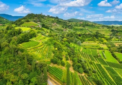 Franciacorta Wine Tasting Tour with Lake Iseo Cruise 2