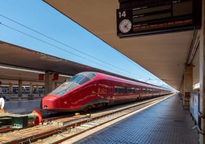 Private Transfer from SMN Train Station to Florence 2