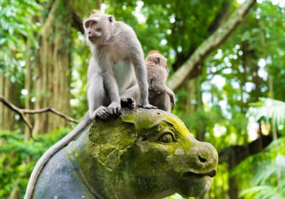 Customized Ubud Tour: Pick 5 Destinations 2