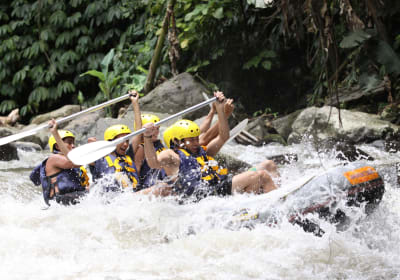 Ayung River Rafting & Ubud Tour 2