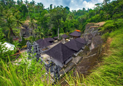 Balinese Temples and Rice Terraces Tour 2