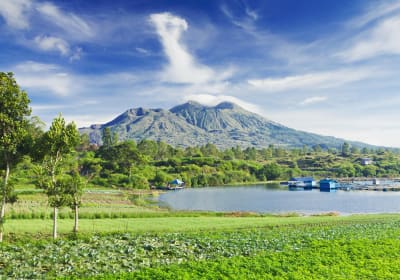 Ubud & Mount Batur Volcano Private Day Trip 2