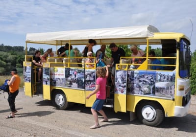 Side Cabrio Bus Tour with Green Lake and Manavgat Waterfall 2