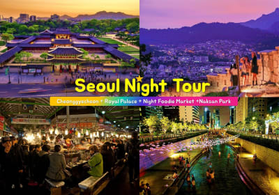 Seoul Night Explorer Tour 2