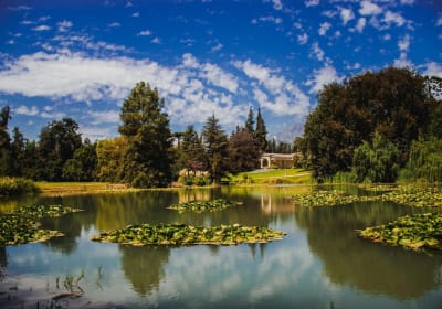 Viña Concha y Toro Premium Wine Center Tour 2