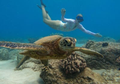 Snorkel with Turtles & Puerto Rican Cuisine 2