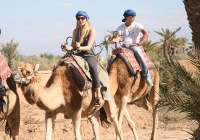Marrakech Sunset Camel Ride 2