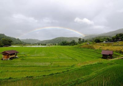 Doi Inthanon Full-Day Adventure 2
