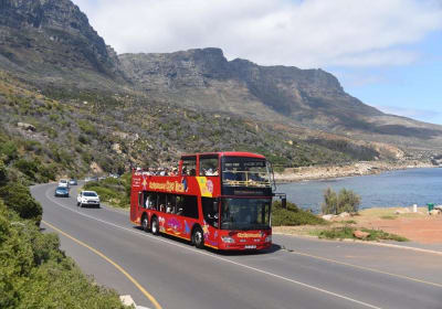 Cape Town Hop-On Hop-Off Bus & Seal Island Cruise 2