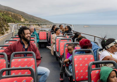Cape Town Hop-On Hop-Off Bus & Duck Tour Combo 2