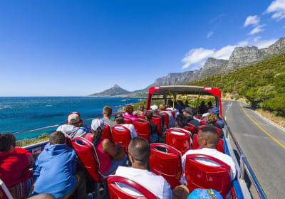 Cape Town Hop-On Hop-Off & World of Birds Combo 2