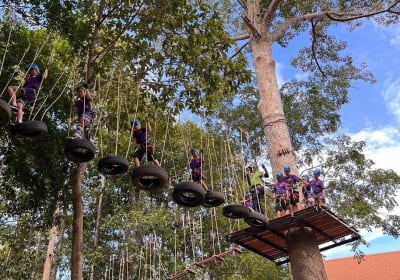 Tree Top Adventure Zipline and Rope Course 2