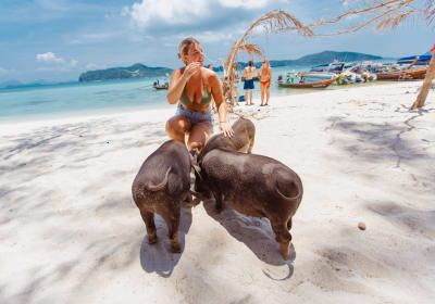 Pig Island Adventure: Kayaking & Snorkeling 2