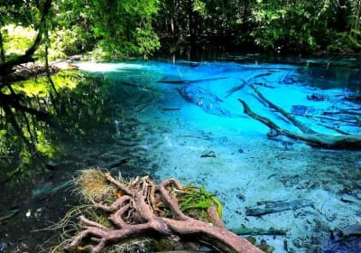 Krabi Jungle Kayaking Adventure 2