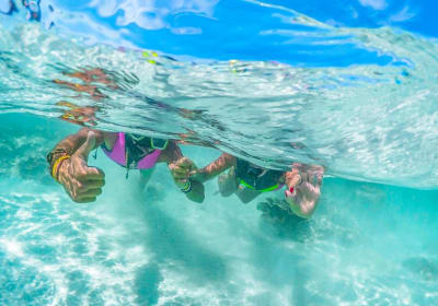 Coral Island Snorkeling Adventure 2