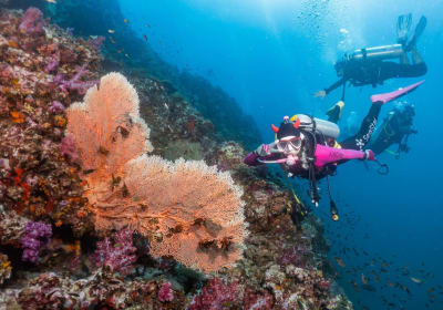 Similan Islands Scuba Diving Adventure 2