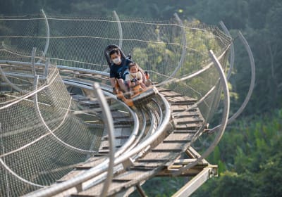 Pongyang Jungle Coaster and Zipline Chiang Mai 2