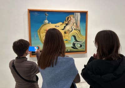 Private Guided Tour of Reina Sofia Museum 2