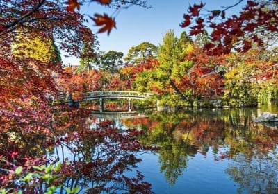Tokyo City Highlights Guided Tour 2