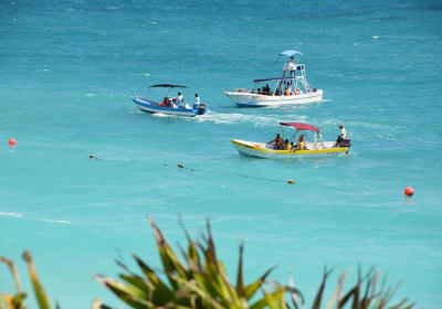 Private Tulum Ruins, Reef Snorkel & Cenote Adventure 2