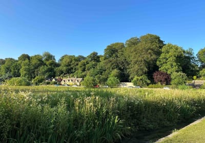 Cotswolds Half-Day Tour from Oxford 2