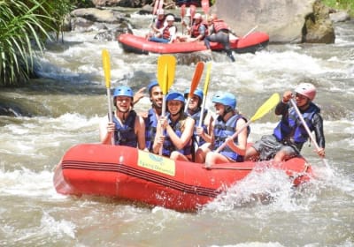 Bali Rafting & Tegalalang Swing Adventure 2