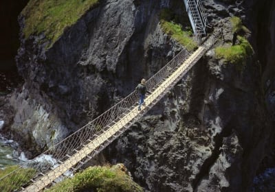 Giant's Causeway Full-Day Tour from Belfast 2