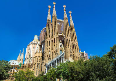 Private Gaudí Tour: Park Güell & Sagrada Família 2