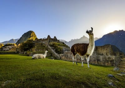 Machu Picchu Full-Day Adventure 2