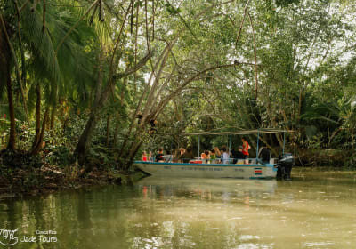 Damas Island Mangrove Boat Tour 2