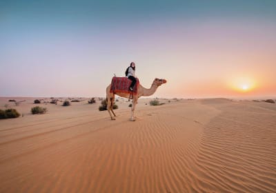 Dubai Red Dune ATV Safari with Sandboarding, Camel Ride, BBQ 2
