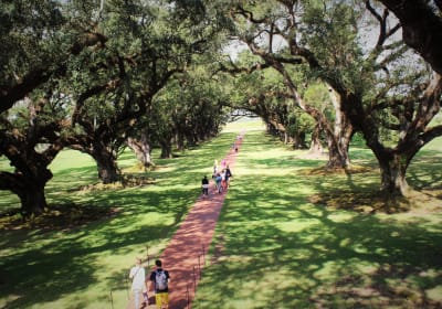 Oak Alley Plantation Tour from New Orleans 2
