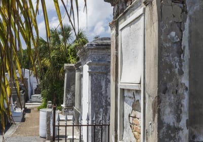 New Orleans City and Cemetery Tour 2