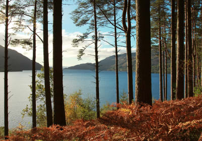 Bonnie Lochs & Bold Whisky Tour 2