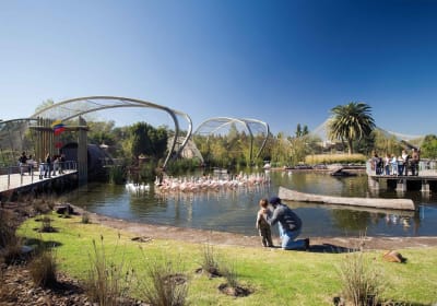 Buenos Aires Temaiken Biopark Tour 2