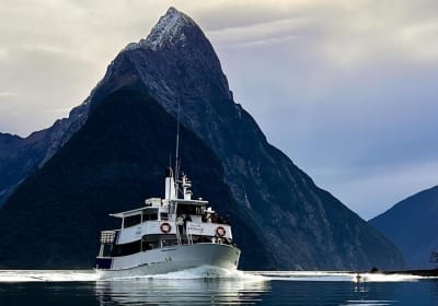 Milford Sound Premium Tour with Lunch 2