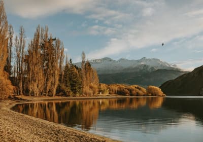 Queenstown to Wanaka Scenic Tour 2