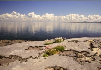 Private Spiritual Walk in the Burren 2