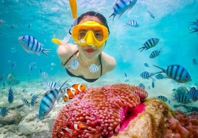 Bali Blue Lagoon Snorkeling & Ubud Jungle Swing Tour 2