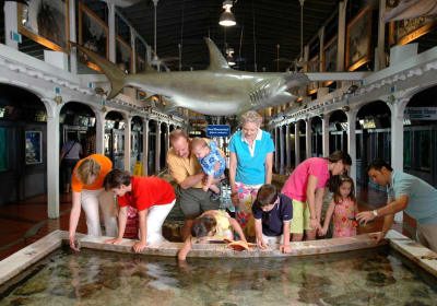 Key West Aquarium Admission with Guided Tours 2