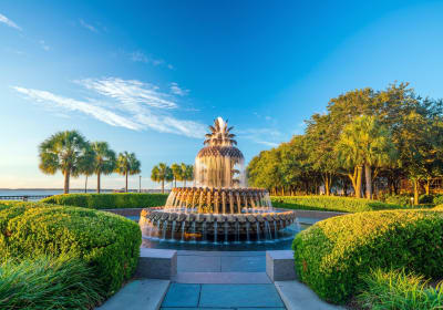 Charleston Trolley Sightseeing Tour 2