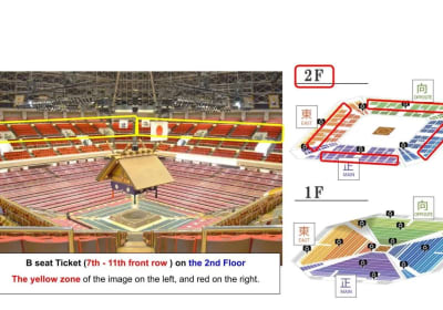 Tokyo Sumo Wrestling Tournament Experience 2