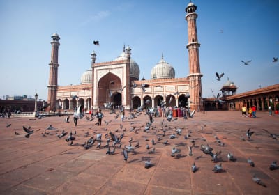 Golden Triangle India 4-Day Tour 2