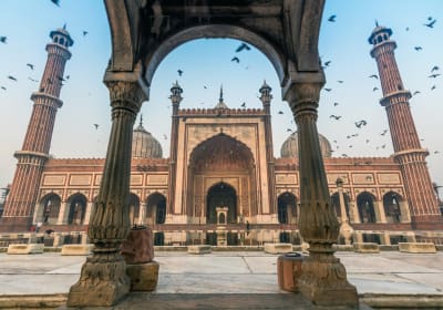 Delhi Unplugged Half Day Tour 2