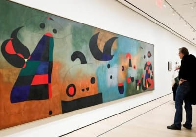 Guided Tour of Reina Sofia Museum 2