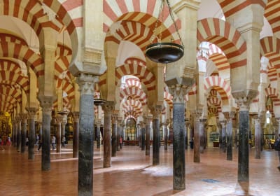 Cordoba & Carmona Day Trip from Seville 2