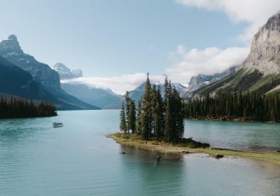 Jasper Wildlife & Maligne Lake Cruise 2